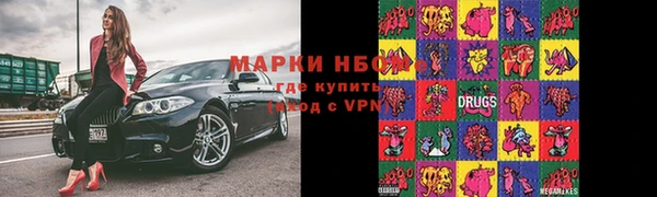 стаф Бугульма