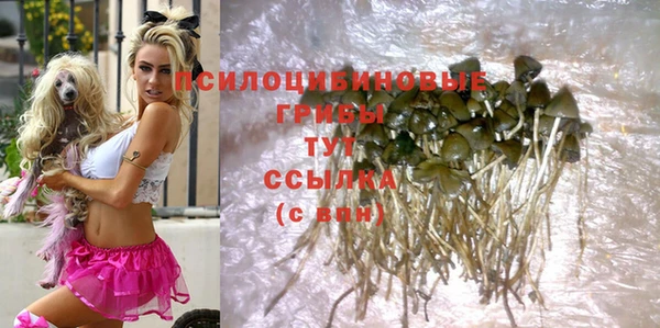 стаф Бугульма