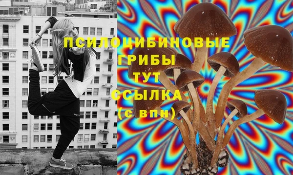 бошки Богданович