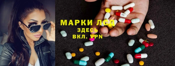 стаф Бугульма