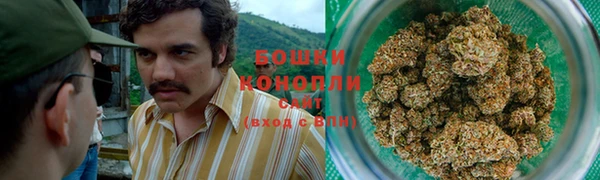 прущая мука Бородино